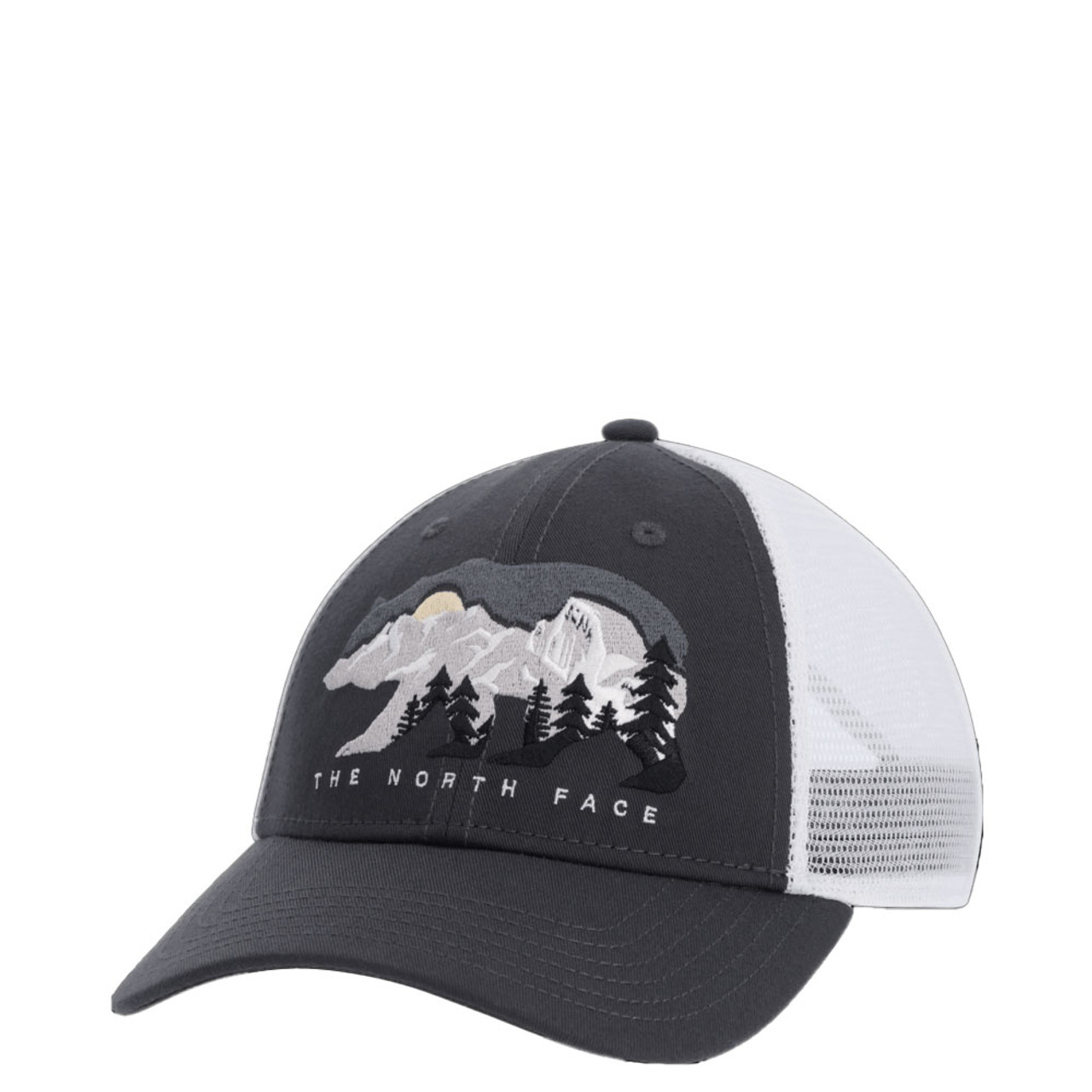 The north face sales bear hat