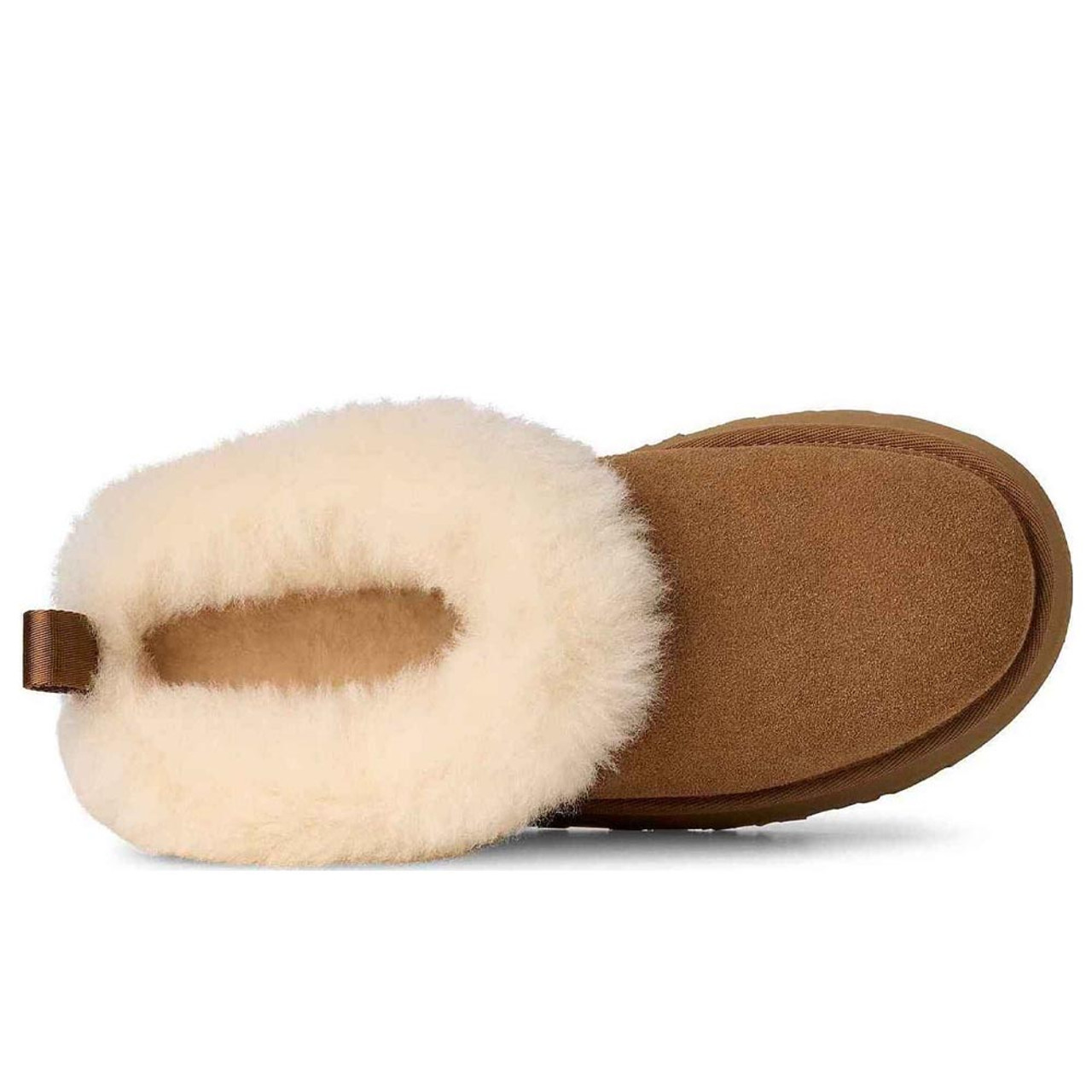 Women's UGG Tazzette Slipper | Eagle Eye Outfitters Women's UGG Tazzette Slipper | Eagle Eye Outfitters