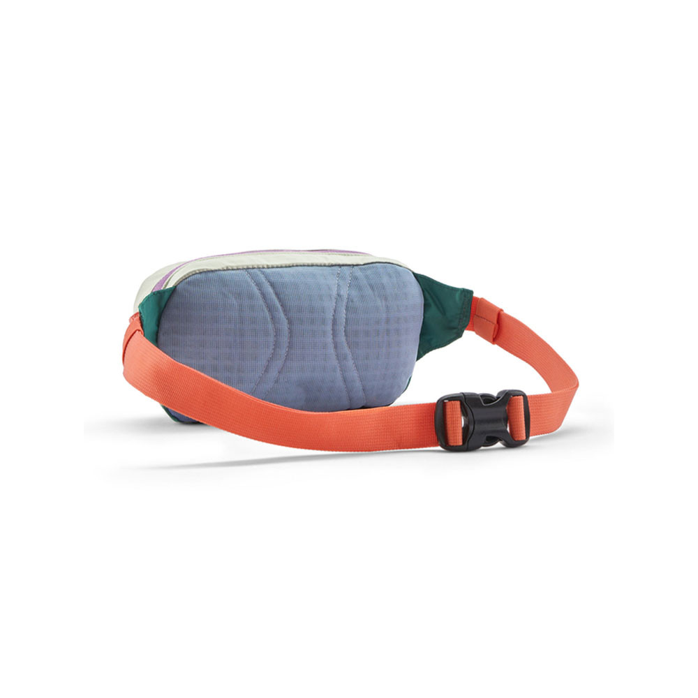 Patagonia 1L Terravia Mini Hip Pack Bag | Eagle Eye Outfitters