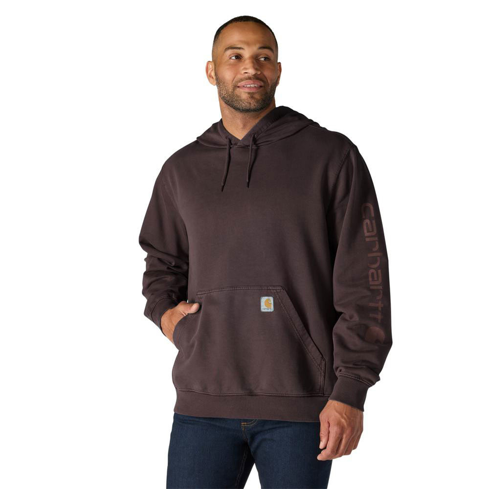 Men's Carhartt Midweight French Terry Graphic Hoodie | Eagle Eye