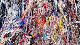 5 Sustainable Shopping & Living Tips 5 Sustainable Shopping & Living Tips