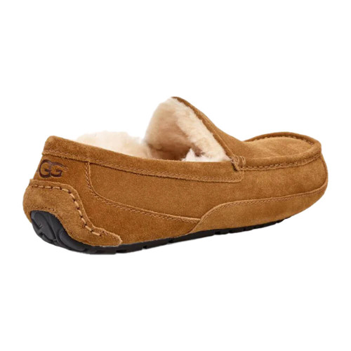 Men's UGG Ascot Slipper | Eagle Eye Outfitters