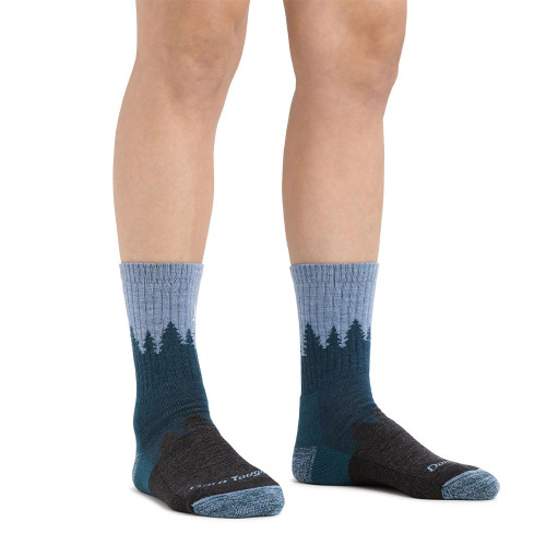 Women's Darn Tough Treeline Micro Crew Hiking Blue Sock model