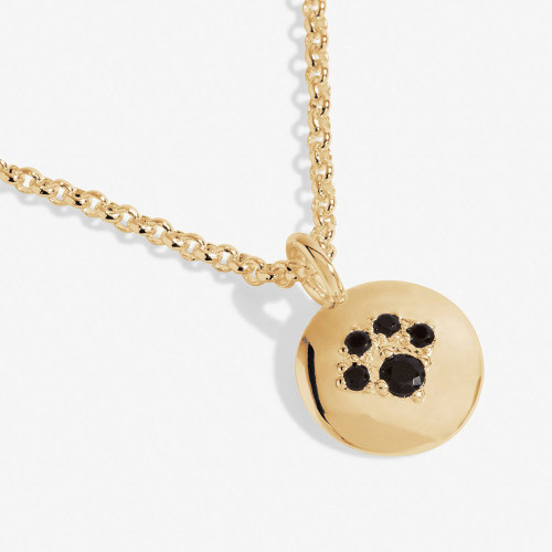 14k Solid Gold Paw Print, Pet Memorial Necklace, Cat Memorial Necklace, Dog  Lover Necklace, Cat Paw, Dog Paw Jewelry, Tiny Paw Print - Etsy