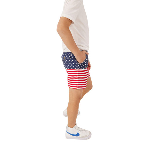 Boys' Chubbies The 'Mericas Shorts side Boys' Chubbies The 'Mericas Shorts side