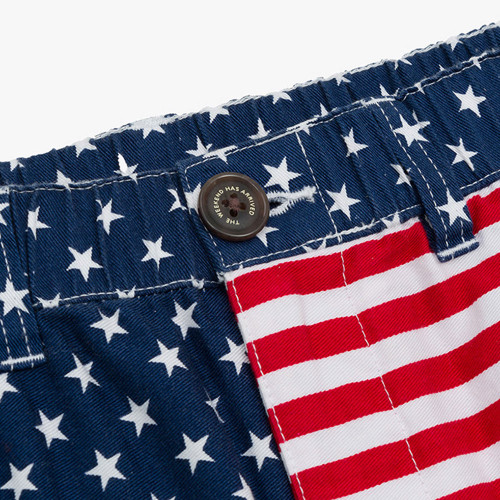 Boys' Chubbies The 'Mericas Shorts front button Boys' Chubbies The 'Mericas Shorts front button