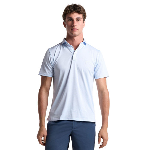 Men's Birddogs Performance Polo Light Blue Stripes Front