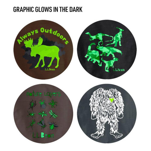Toddler Boys' L.L.Bean Glow In The Dark Long Sleeve Graphic T-Shirt Graphics Detail