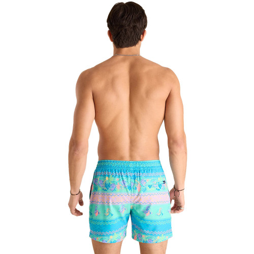 Men's Chubbies Neptune's Weekend Wear Lined Swim Trunk - Teal Printed Stripe Back