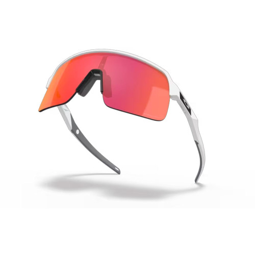 Oakley Sutro Lite Prizm Field Sunglasses | Eagle Eye Outfitters Oakley Sutro Lite Prizm Field Sunglasses | Eagle Eye Outfitters