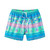 Men's Chubbies Neptune's Weekend Wear Lined Swim Trunk - Teal Printed Stripe Flat