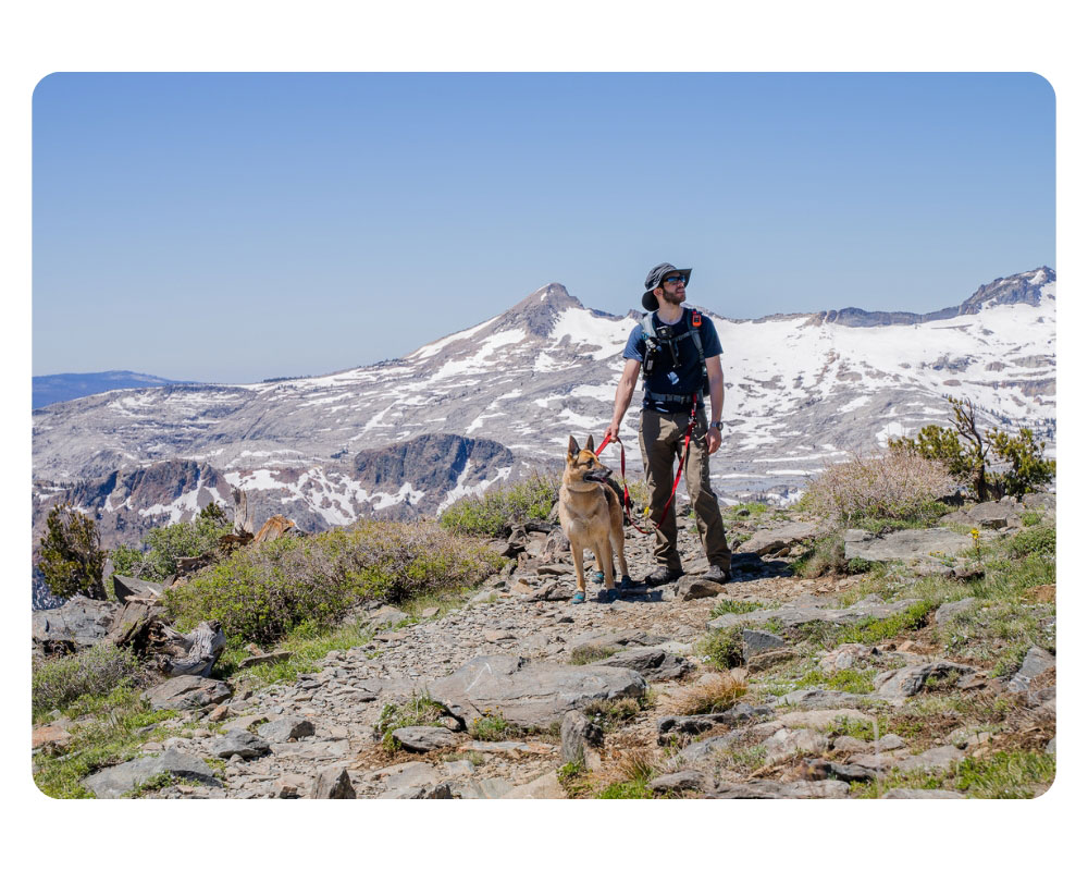 Man hiking with a dog on a snow tipped mountain scene.