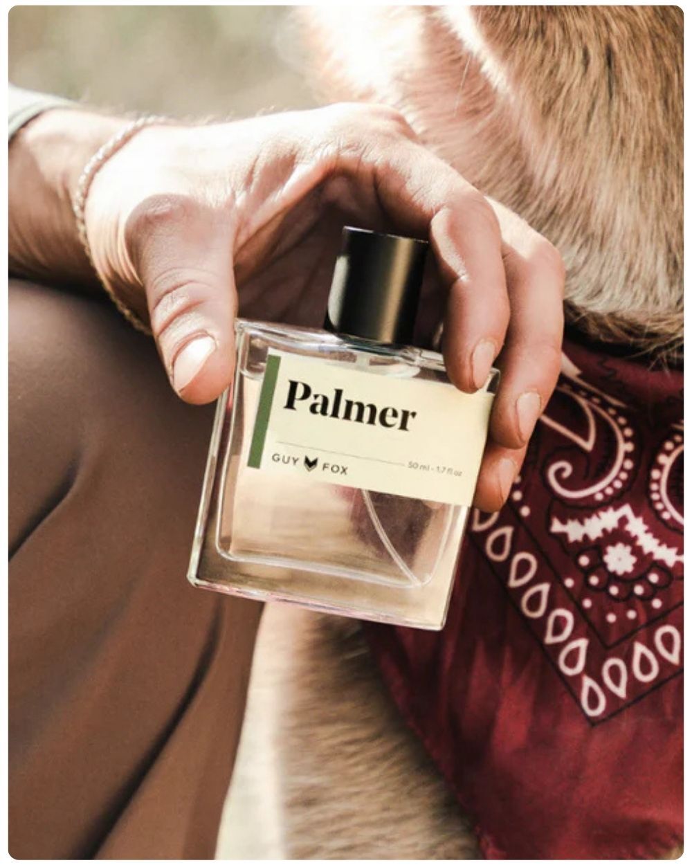 Man holding Guy Fox Palmer cologne