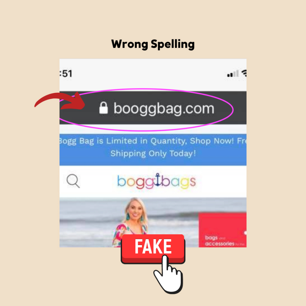 Picture of fake Bogg Bag website with the wrong spelling of the brand name.