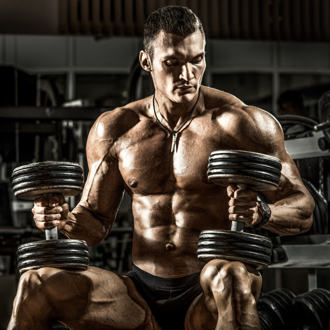 Beta-alanine and muscle power