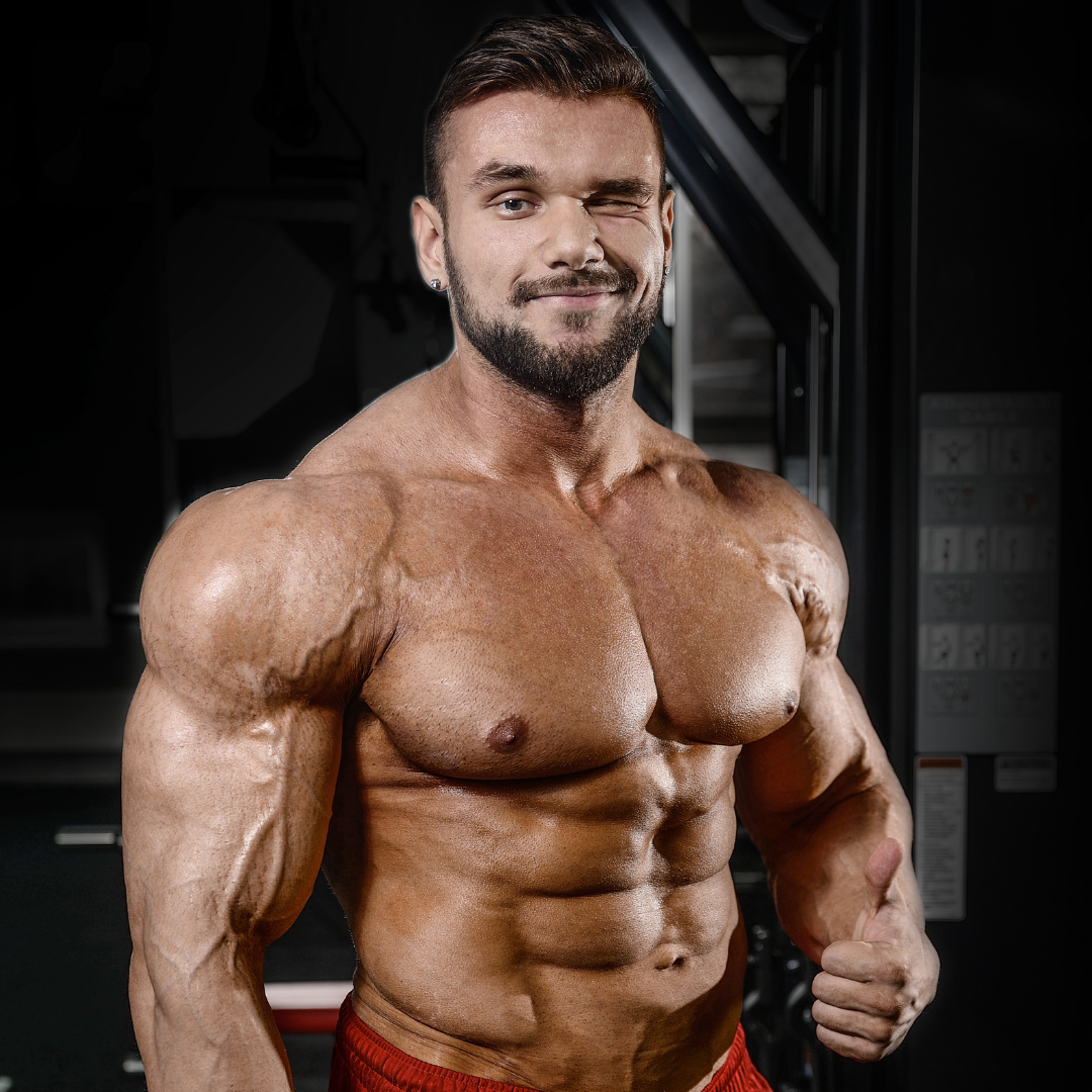 How To Build Defined Shoulders With 5 Effective Exercises Prolab 