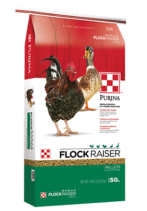 Purina Flock Raiser Pellets The Farm Store
