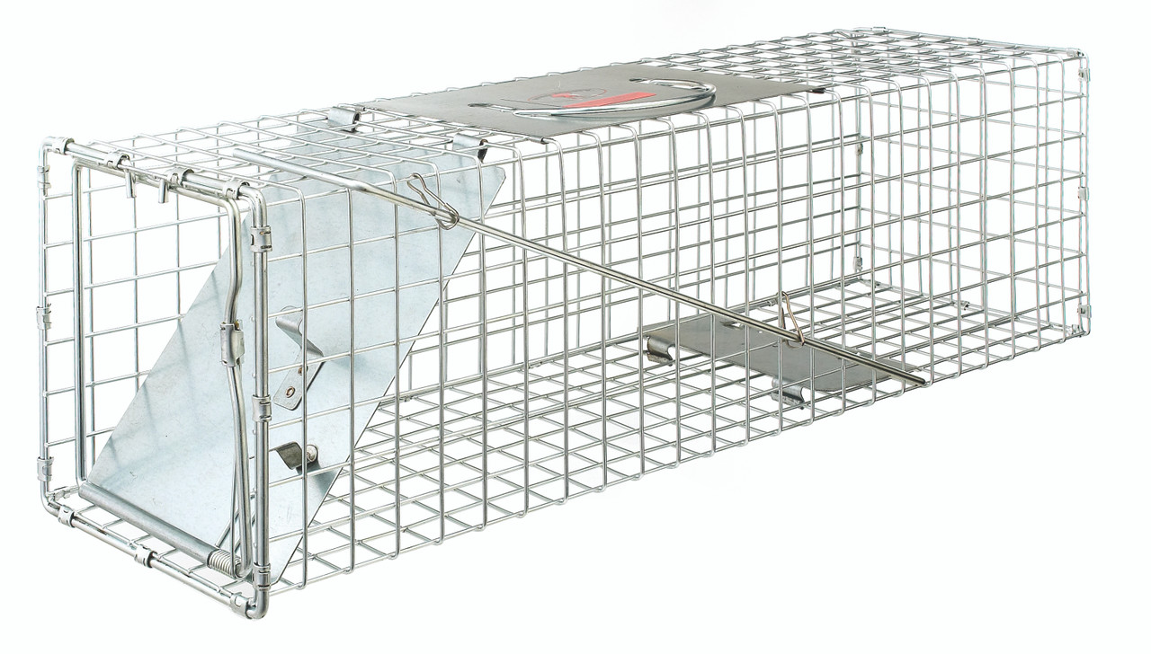Little Giant Live Trap The Farm Store