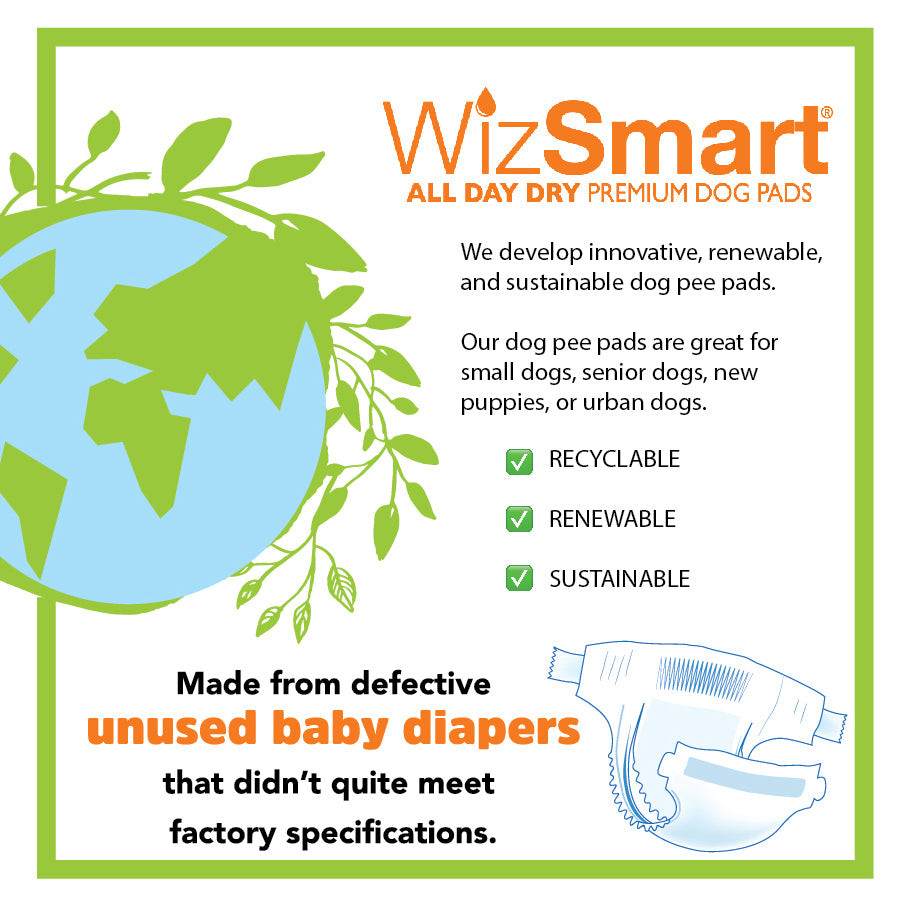 Wizsmart Eco Friendly Pee Pads Buy WizSmart Earth Friendly Ultra