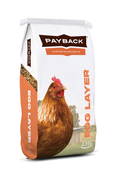 Payback Egg Layer Ration Pellets 17%