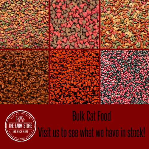 Bulk Cat Food