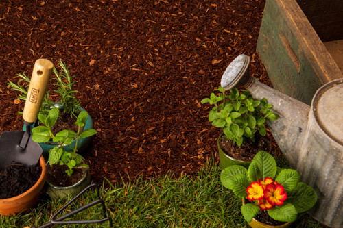 Bark Mulch