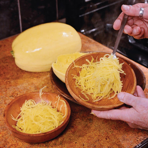 Territorial Seed Vegetable Spaghetti Winter Squash, 3 grams