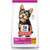 SD Small & Mini, Puppy SD Small & Mini, Puppy