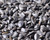 Black Oil Sunflower Seed - Nutrient-rich bird feed for attracting a variety of wild birds.