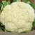 Territorial Seed Cauliflower Snow Crown 1/4 Gram