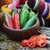 Territorial Seed Hot Peppers, Early Jalapeño, 1/4 Gram - Organic