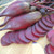 Territorial Seed Organic Cylindra Beet, 5 grams