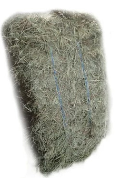 Grass Hay