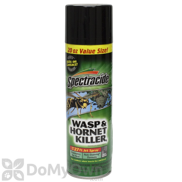 Spectracide Wasp & Hornet Killer 20 oz