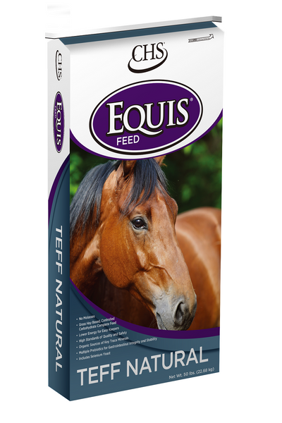 Equis Teff Natural