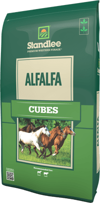 Standlee Alfalfa Cube