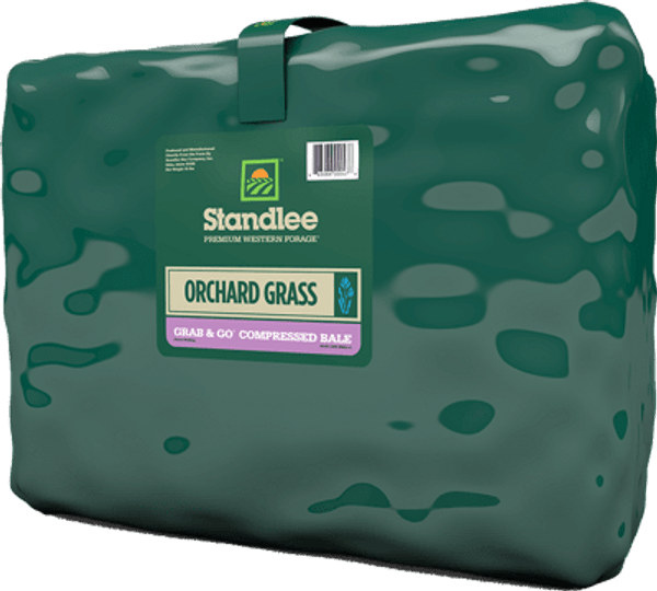 Standlee Certified Orchard Grass Grab and Go Bale 55#