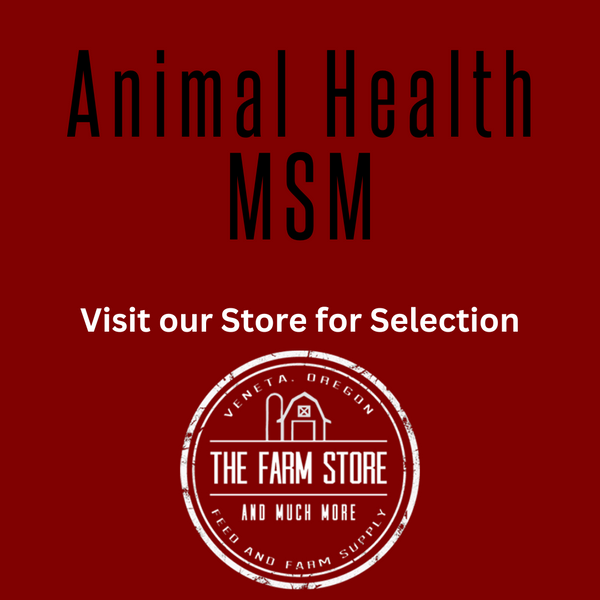 Animal Health with MSM