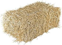 Wheat Straw