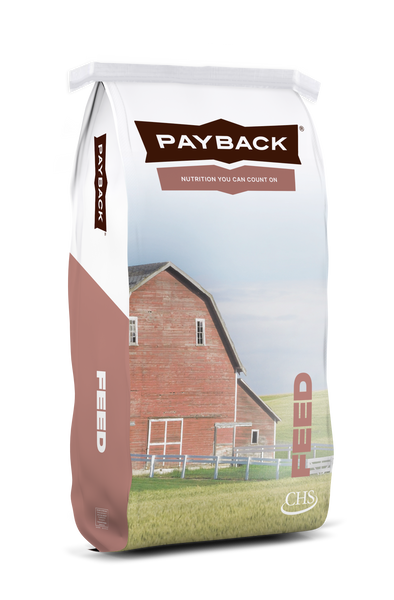 Payback Guinea Pig Pellet 10LB