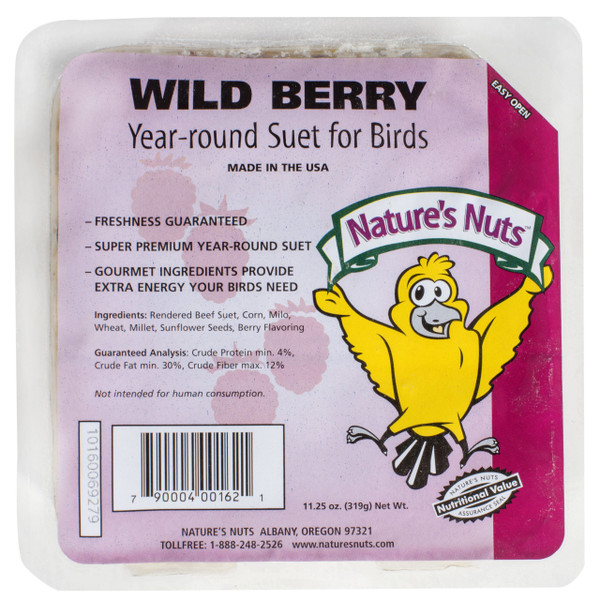 Nature's Nuts Wild Berry Suet Cakes