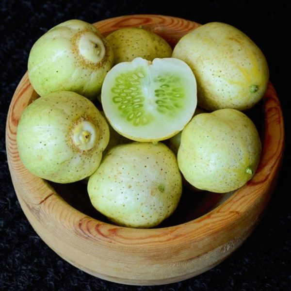 Territorial Seed Cucumber Lemon, Novelty, 1 Gram