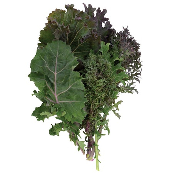 Territorial Seed Kale, Wild Garden Kales, 1 Gram - Organic