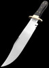 John Nowill Buffalo Bowie