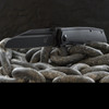 Fox Terzuola G10 Black