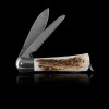 Mercury Hunter Stag Two Use Lock Back Saw Penknife