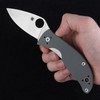 Spyderco Alcyone Folding Knife