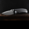 Spartan Blades Astor Carbon Fibre G10