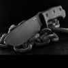 LionSteel M7