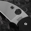 Spyderco Lil' Native Wharncliffe